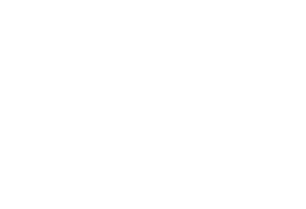 softsteam（ソフトスチーム）のロゴマーク